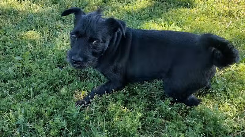 Spring Valley Community Park - Las Vegas, NV