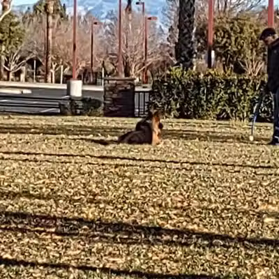 Summerlin Centre Community Park - Las Vegas, NV
