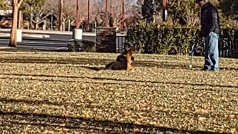 Summerlin Centre Community Park - Las Vegas, NV