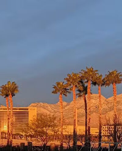 Summerlin Centre Community Park - Las Vegas, NV