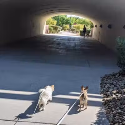 Summerlin Community Park - Las Vegas, NV