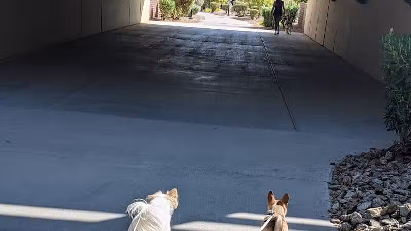 Summerlin Community Park - Las Vegas, NV