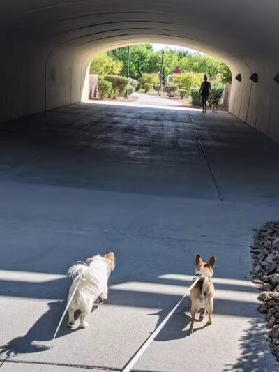 Summerlin Community Park - Las Vegas, NV