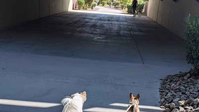 Summerlin Community Park - Las Vegas, NV