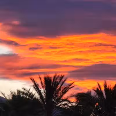 Summerlin Community Park - Las Vegas, NV