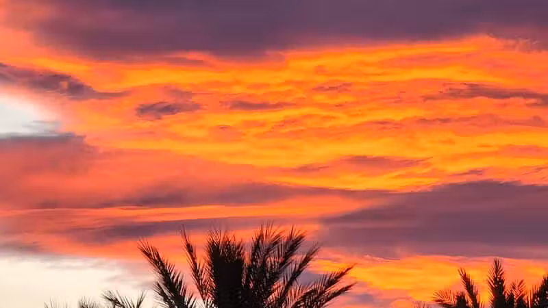 Summerlin Community Park - Las Vegas, NV