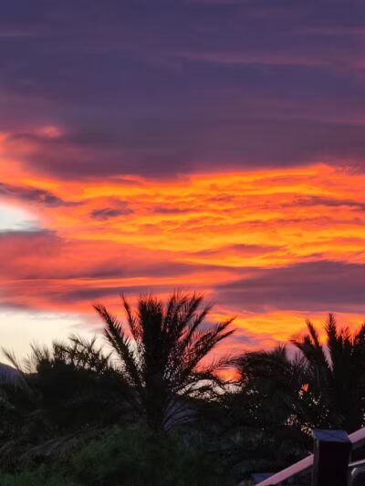 Summerlin Community Park - Las Vegas, NV