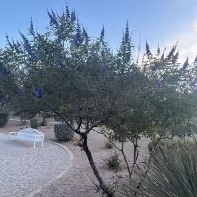 Summerlin Community Park - Las Vegas, NV