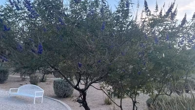 Summerlin Community Park - Las Vegas, NV