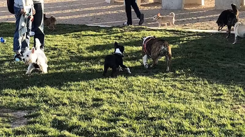 Sunset Dog Park - Las Vegas, NV