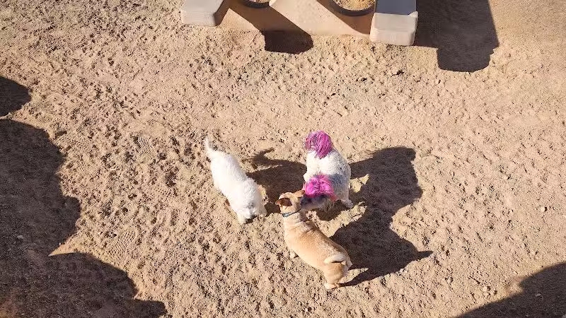 Sunset Dog Park - Las Vegas, NV