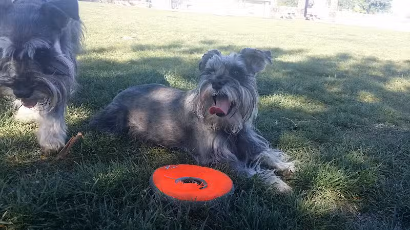 Sunset Dog Park - Las Vegas, NV