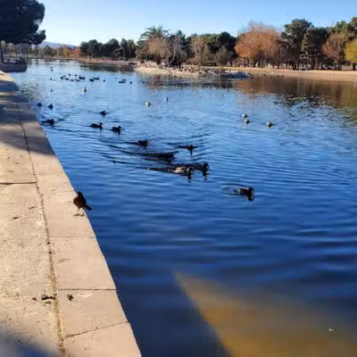 Sunset Park - Las Vegas, NV