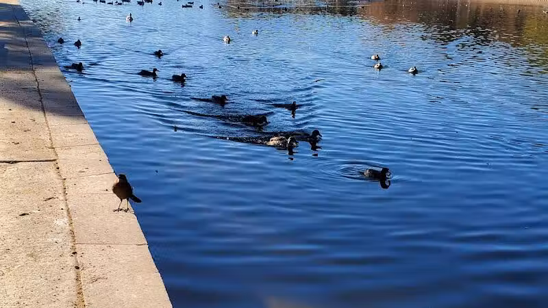 Sunset Park - Las Vegas, NV