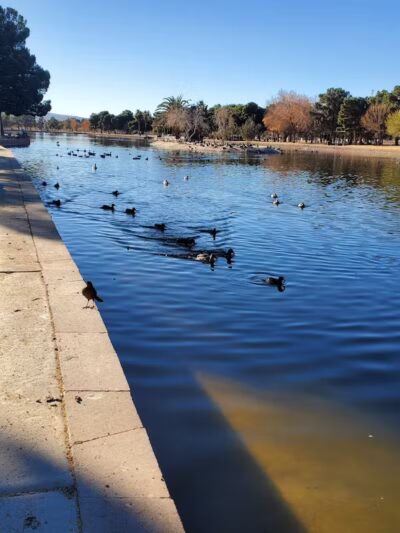 Sunset Park - Las Vegas, NV