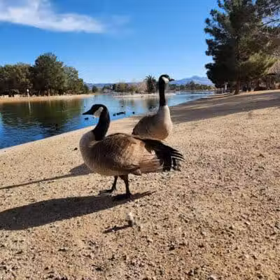Sunset Park - Las Vegas, NV