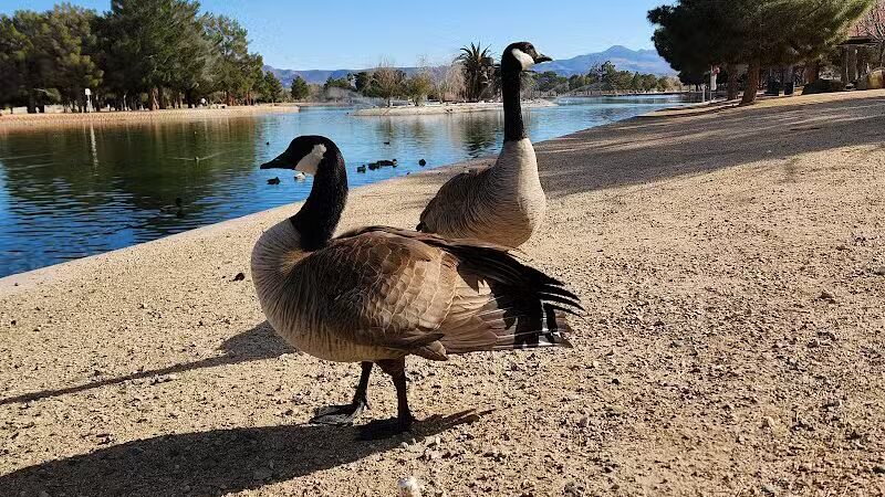Sunset Park - Las Vegas, NV