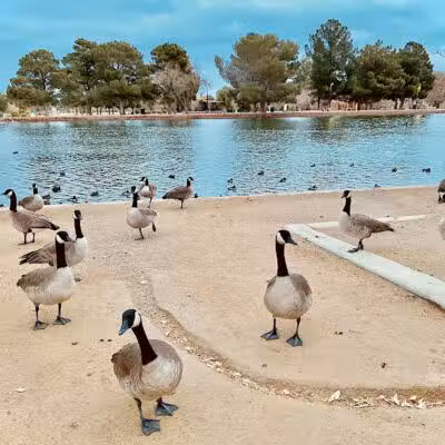 Sunset Park - Las Vegas, NV