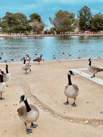 Sunset Park - Las Vegas, NV