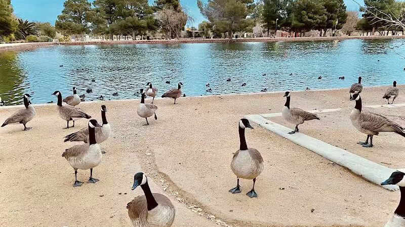 Sunset Park - Las Vegas, NV
