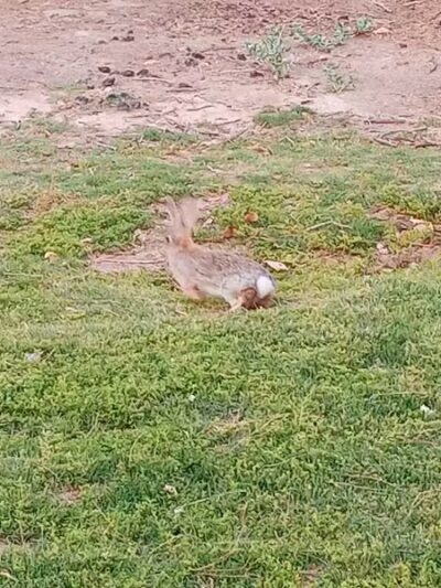 Sunset Park - Las Vegas, NV