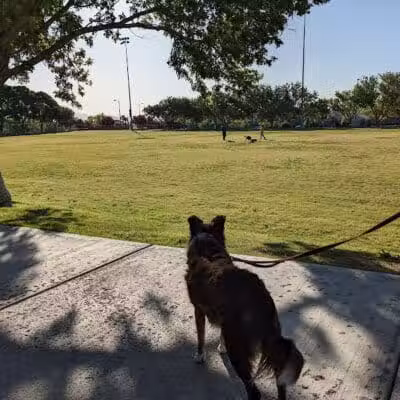 The Crossing Park - Las Vegas, NV