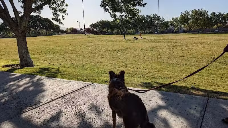 The Crossing Park - Las Vegas, NV