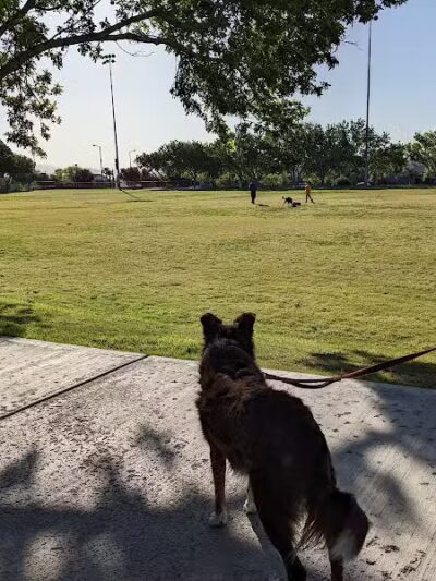 The Crossing Park - Las Vegas, NV