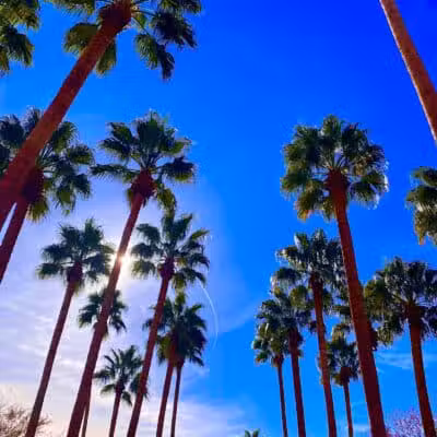 The Hills Park - Las Vegas, NV