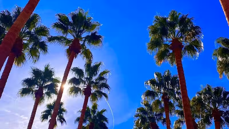 The Hills Park - Las Vegas, NV