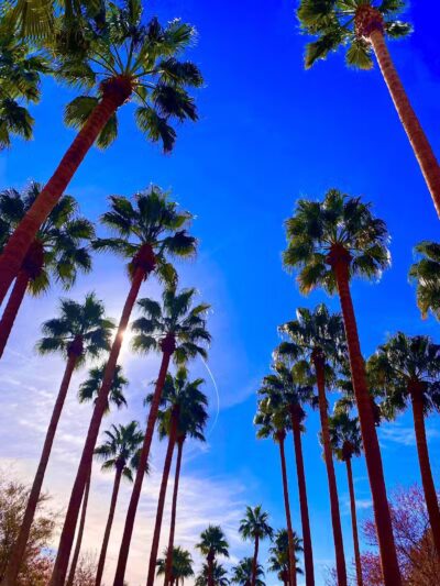 The Hills Park - Las Vegas, NV