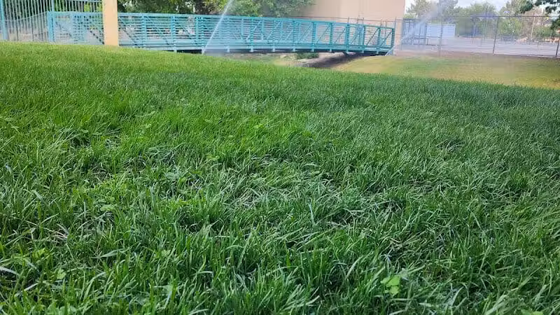 The Hills Park - Las Vegas, NV