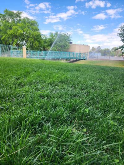 The Hills Park - Las Vegas, NV