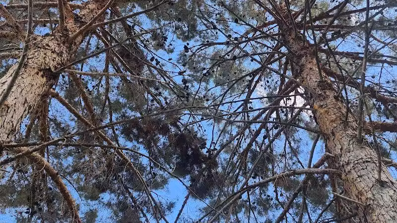 The Hills Park - Las Vegas, NV