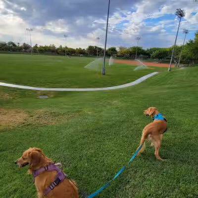 The Willows Park & Pool - Las Vegas, NV