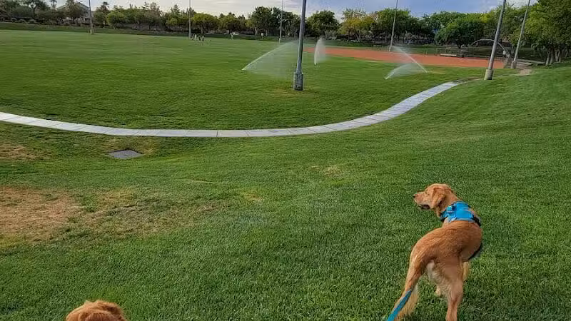 The Willows Park & Pool - Las Vegas, NV