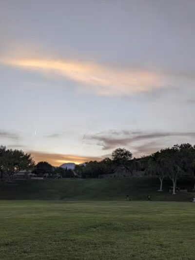 The Willows Park & Pool - Las Vegas, NV