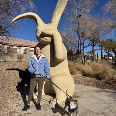 The Willows Park & Pool - Las Vegas, NV