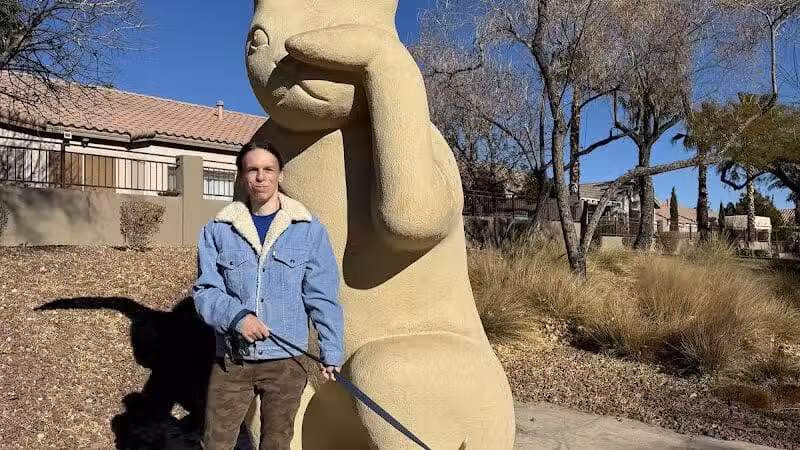 The Willows Park & Pool - Las Vegas, NV