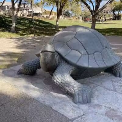 The Willows Park & Pool - Las Vegas, NV