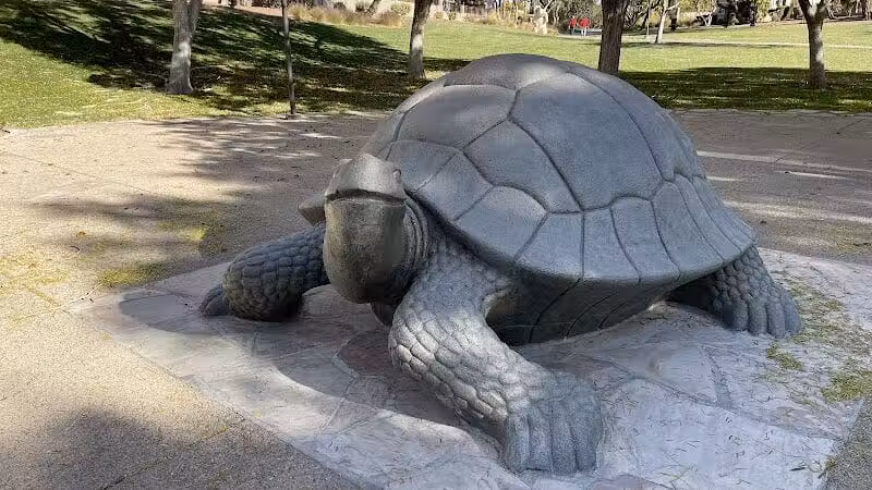 The Willows Park & Pool - Las Vegas, NV