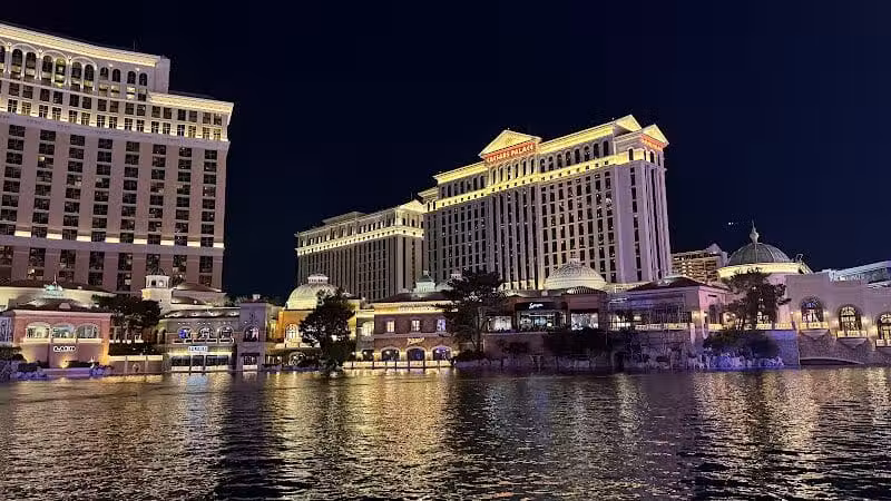 Vdara Dog Park - Las Vegas, NV