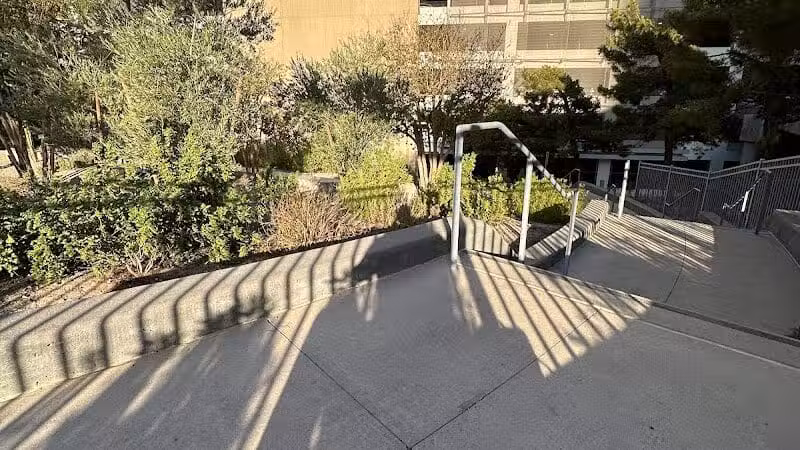 Vdara Dog Park - Las Vegas, NV