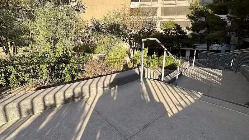 Vdara Dog Park - Las Vegas, NV