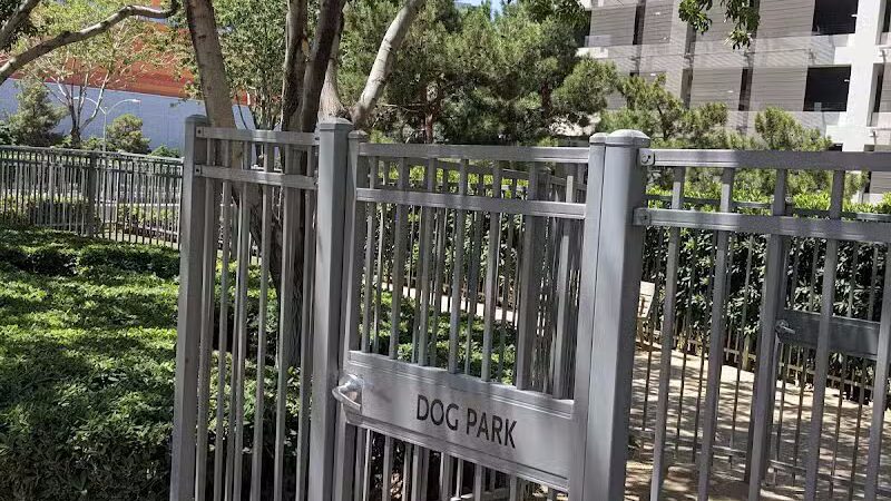 Vdara Dog Park - Las Vegas, NV