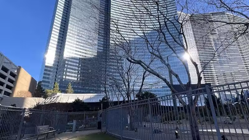 Vdara Dog Park - Las Vegas, NV