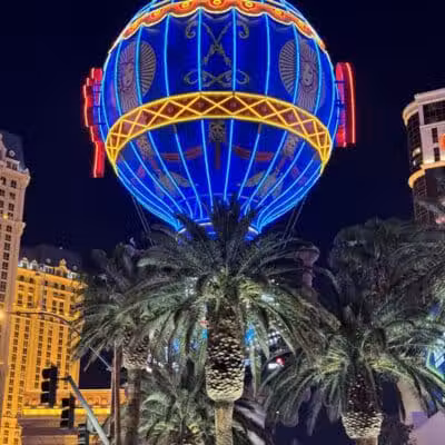 Vdara Dog Park - Las Vegas, NV