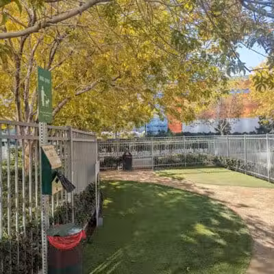Vdara Dog Park - Las Vegas, NV