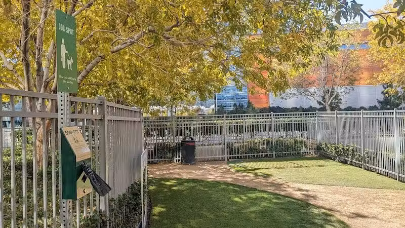 Vdara Dog Park - Las Vegas, NV