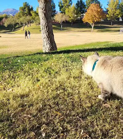 Village Green Park - Las Vegas, NV